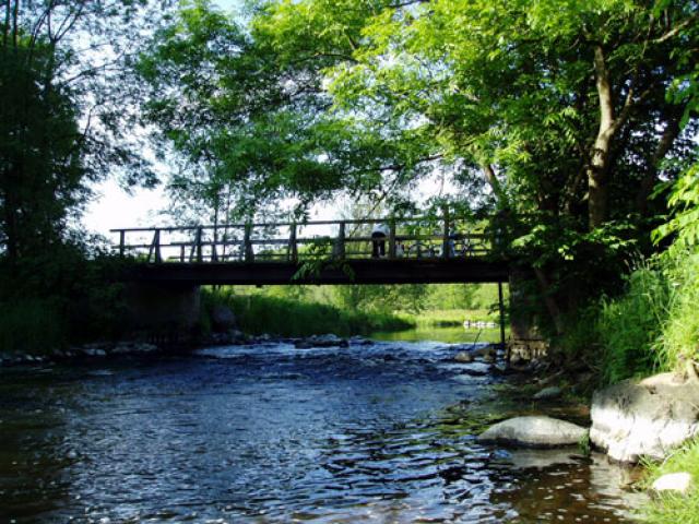 Bild: mehr Landschaft