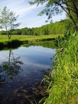 Bild: mehr Landschaft