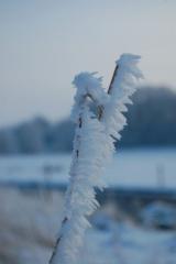 Bild: Landschaftsbilder Michael Wieck title=