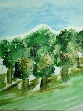 Bild: Hecken schneiden