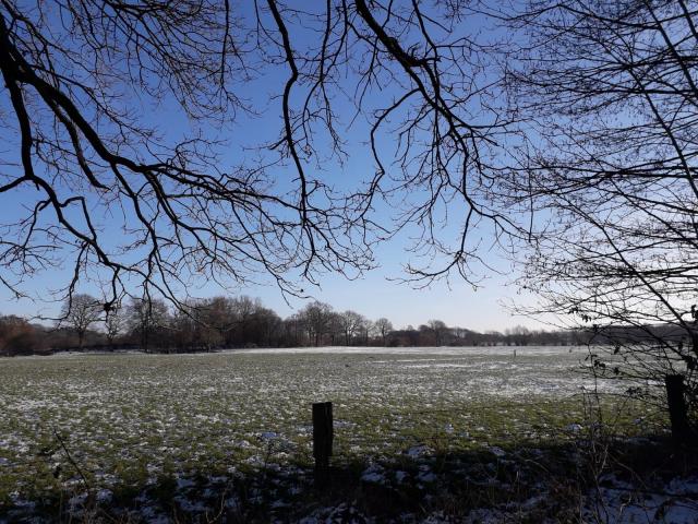 Bild: Winterbilder 2021