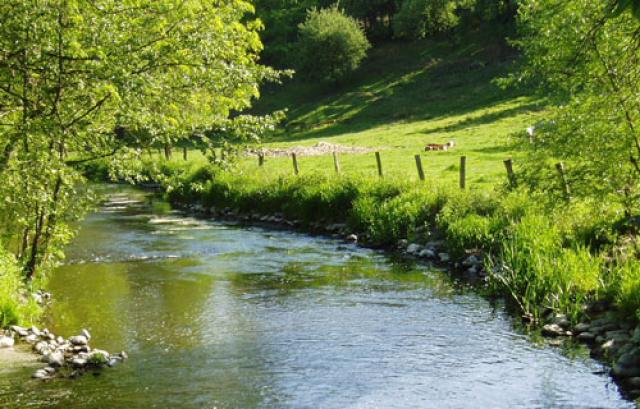 Bild: Landschaft