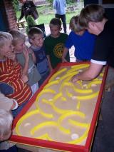 Bild: Vogelschie&szlig;en 2006