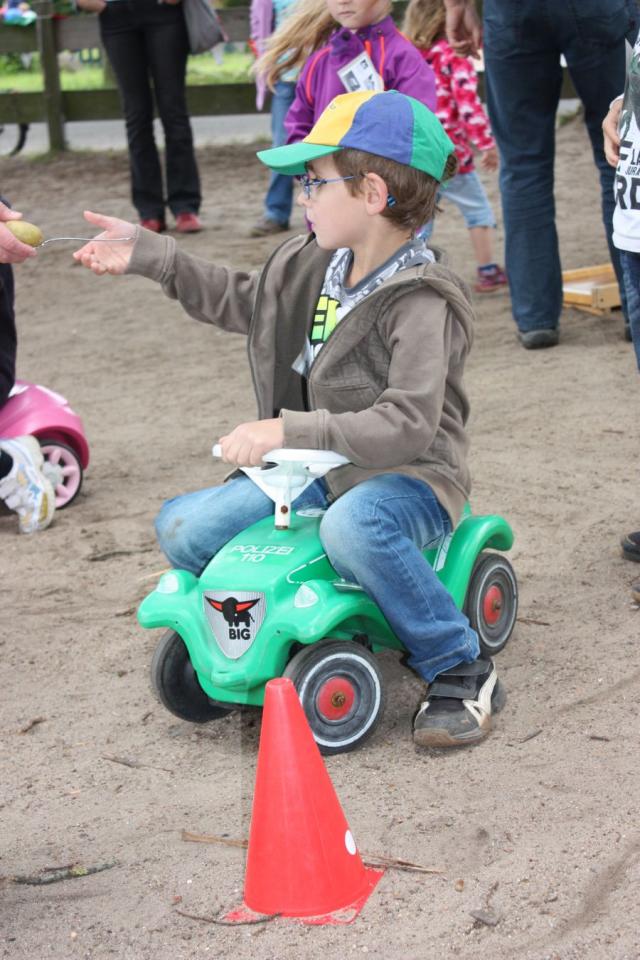 Bild: Vogelschie&szlig;en 2011