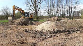 Bild: Der neue Knick an der Auwiese